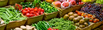 Grocery Store Accounting Software